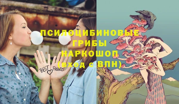 винт Алексин