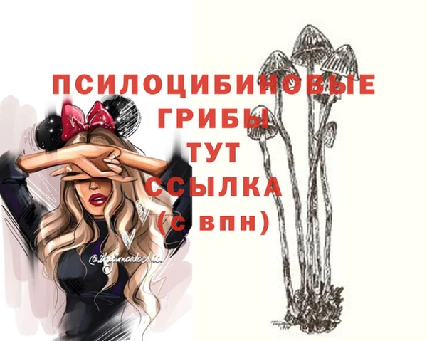 твердый Алексеевка
