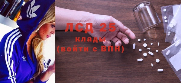 ГАЛЛЮЦИНОГЕННЫЕ ГРИБЫ Алзамай