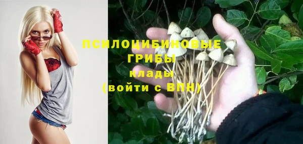 твердый Алексеевка