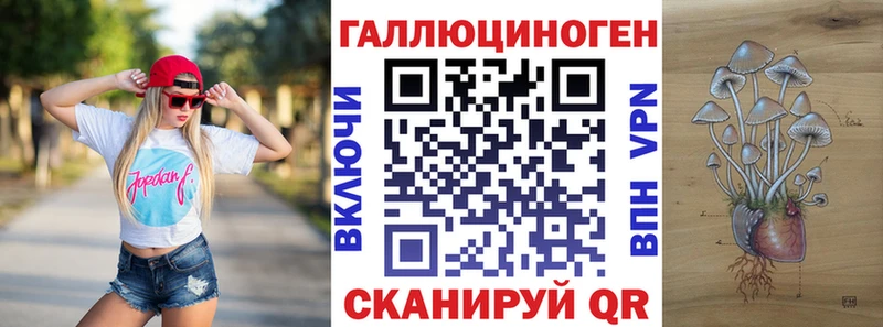 Галлюциногенные грибы MAGIC MUSHROOMS  купить закладку  Амурск 